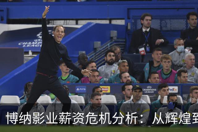 博纳影业薪资危机分析：从辉煌到困境的转折