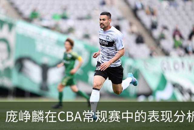 庞峥麟在CBA常规赛中的表现分析