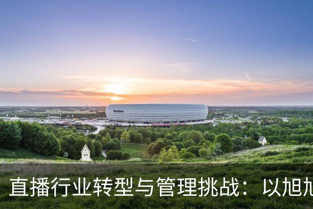 直播行业转型与管理挑战：以旭旭宝宝公会为例